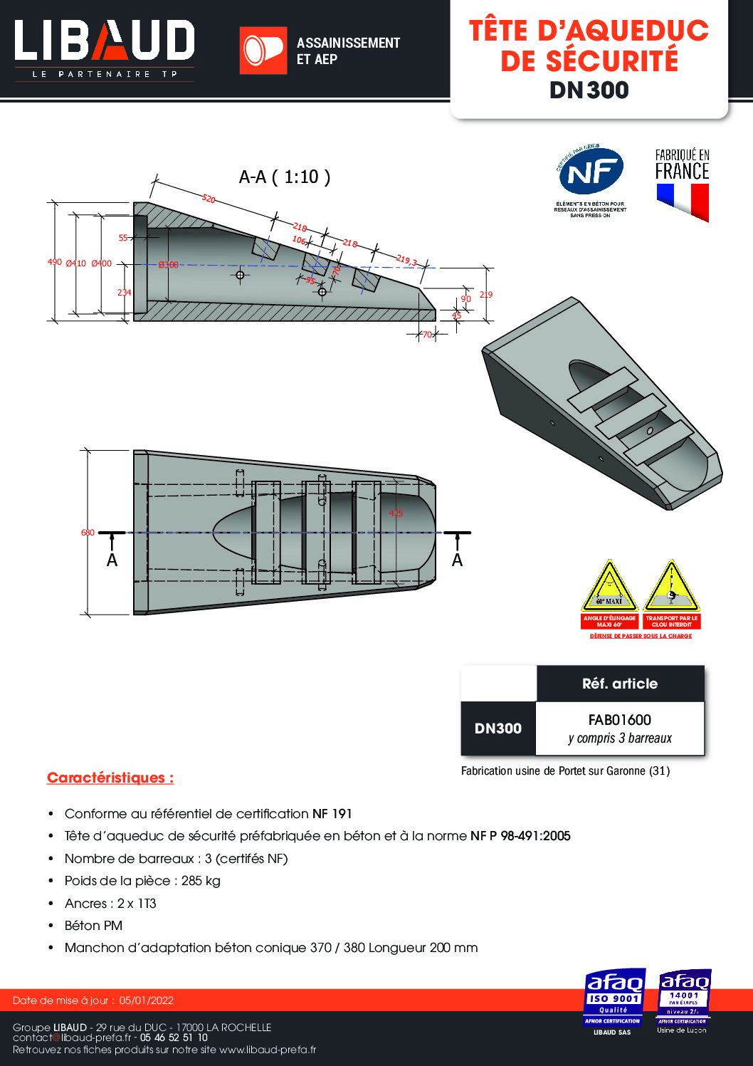 ft_libaud_tete_de_securite_dn300