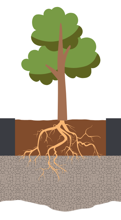 Guide Racines Guide Racines