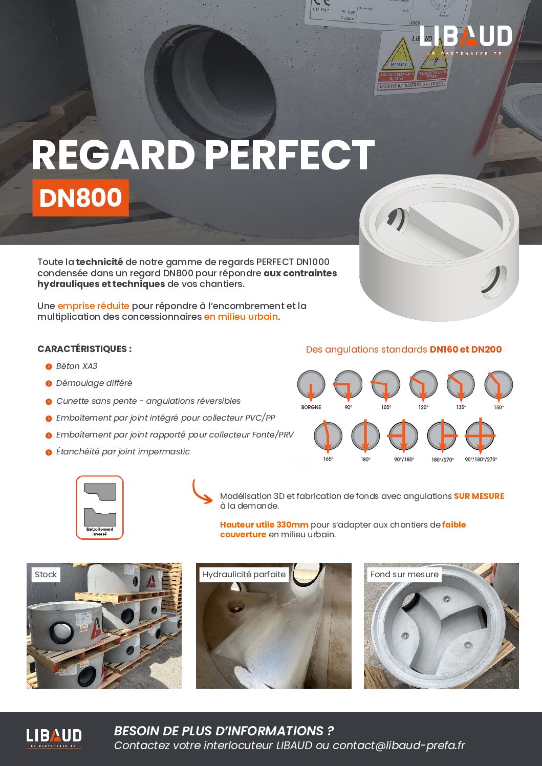 regard-perfect-libaud